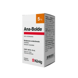 Ana-Bolde