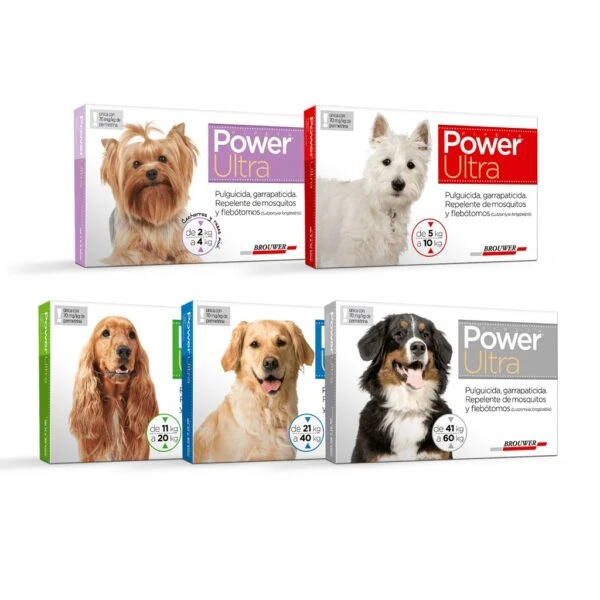 POWER ULTRA