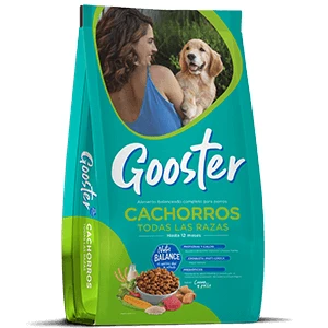 GOOSTER CACHORROS