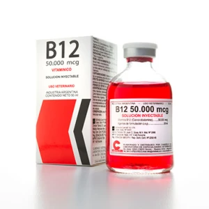 B 12