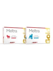 MELTRA GOLD