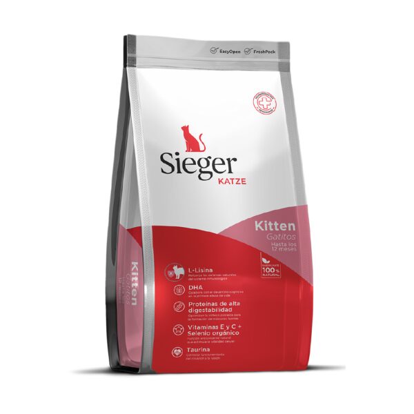 SIEGER KITTEN