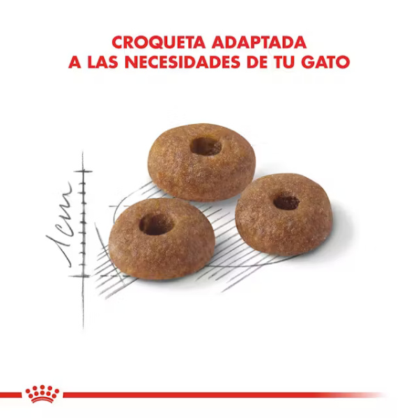ROYAL CANIN FIT - Imagen 3
