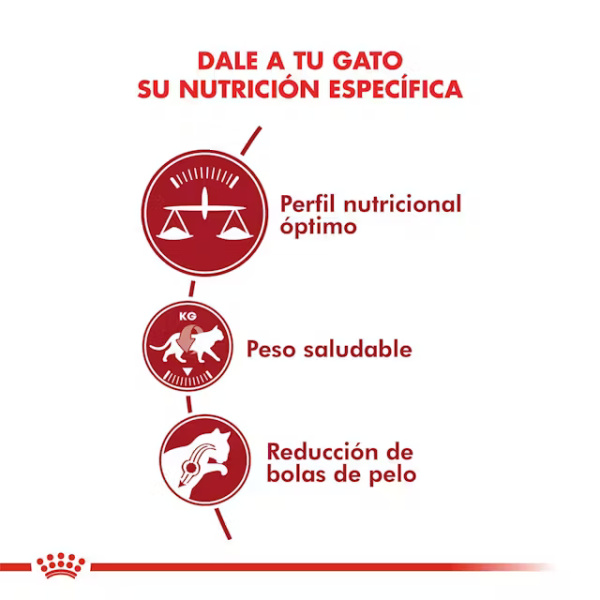 ROYAL CANIN FIT - Imagen 4