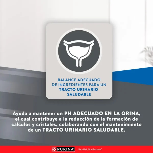 EXCELLENT GATO ADULTO MANTENIMIENTO - Imagen 3