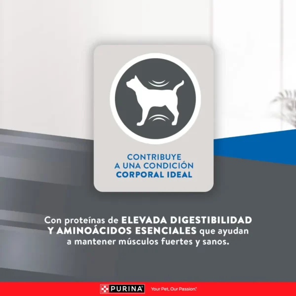 EXCELLENT GATO ADULTO MANTENIMIENTO - Imagen 4