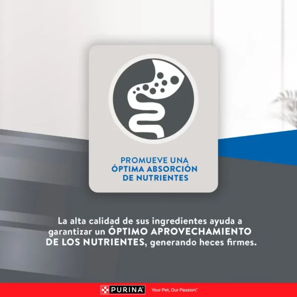 EXCELLENT GATO ADULTO MANTENIMIENTO - Imagen 5