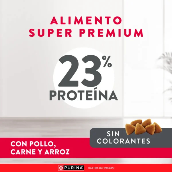 EXCELLENT PERRO ADULTO TODOS LOS TAMAÑOS - MANTENIMIENTO - Imagen 2