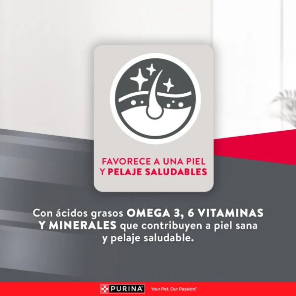 EXCELLENT PERRO ADULTO TODOS LOS TAMAÑOS - MANTENIMIENTO - Imagen 5