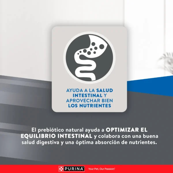 EXCELLENT URINARY GATO ADULTO - Imagen 6