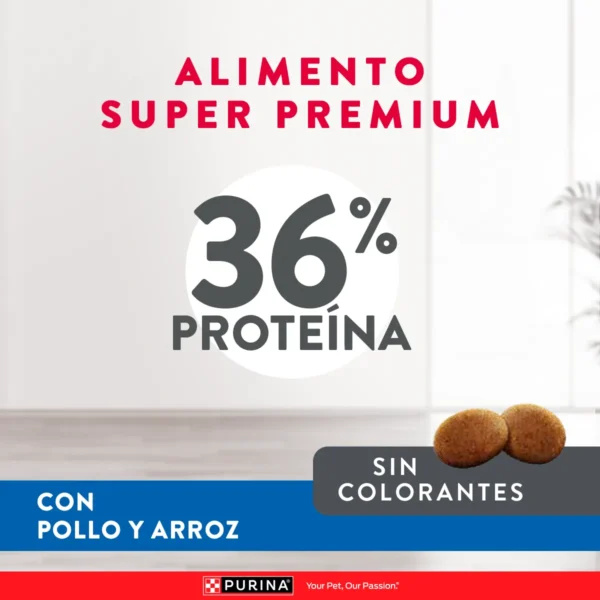 EXCELLENT PARA GATO ESTERILIZADO - Imagen 2