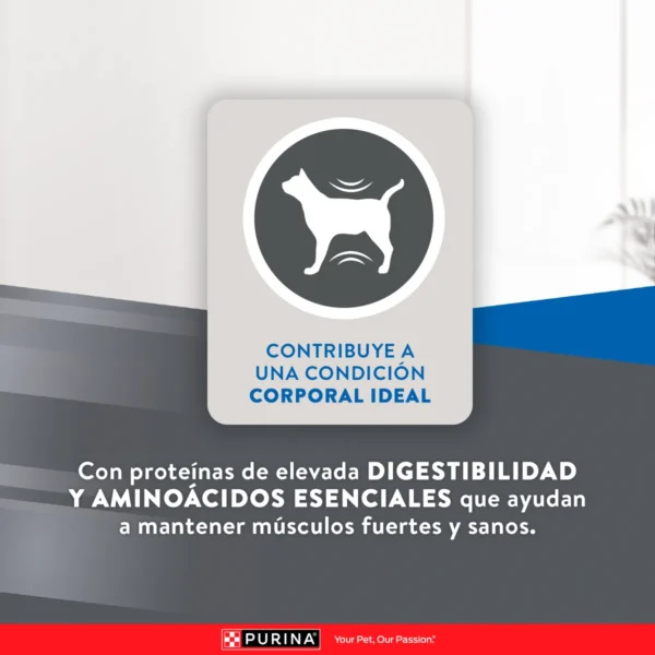EXCELLENT PARA GATO ESTERILIZADO - Imagen 4