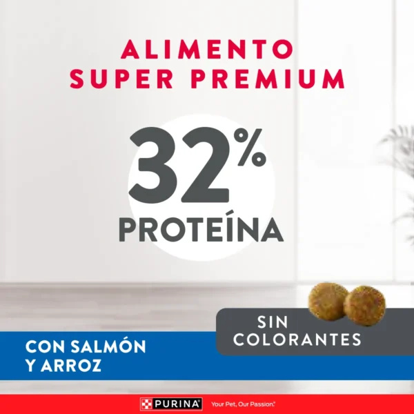 EXCELLENT GATO ADULTO SKIN CARE - Imagen 2