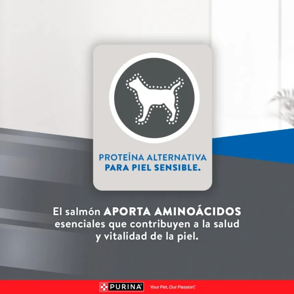 EXCELLENT GATO ADULTO SKIN CARE - Imagen 4