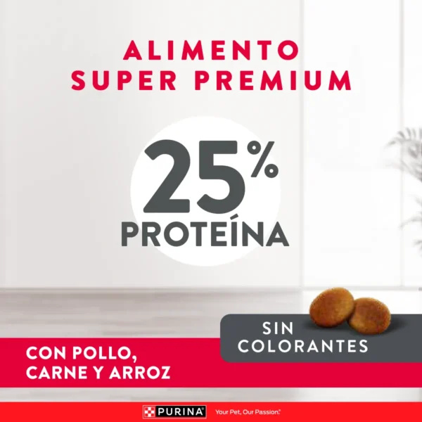 EXCELLENT PERRO ADULTO RAZA PEQUEÑA - Imagen 2