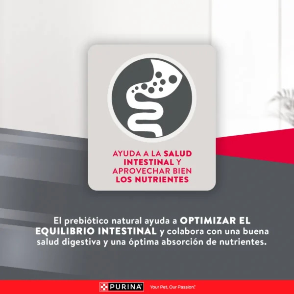 EXCELLENT PERRO ADULTO RAZA PEQUEÑA - Imagen 5