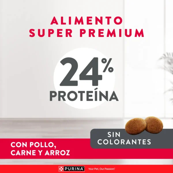 EXCELLENT PERRO ADULTO RAZA MEDIANA Y GRANDE - Imagen 2