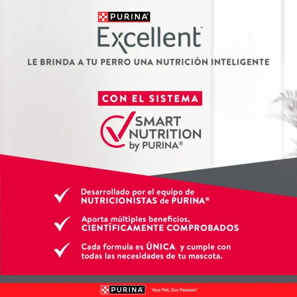EXCELLENT PERRO ADULTO RAZA MEDIANA Y GRANDE - Imagen 3