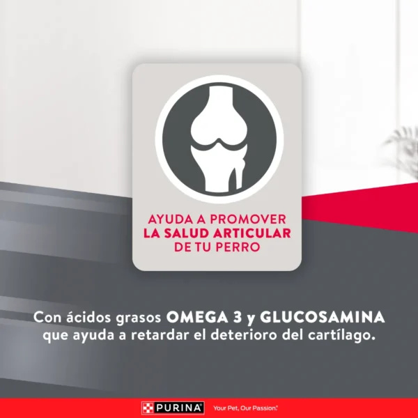 EXCELLENT PERRO ADULTO RAZA MEDIANA Y GRANDE - Imagen 4