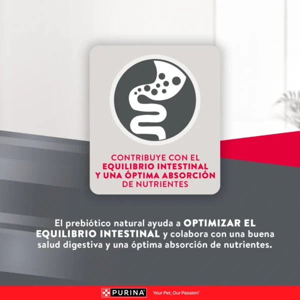 EXCELLENT PERRO ADULTO RAZA MEDIANA Y GRANDE - Imagen 6