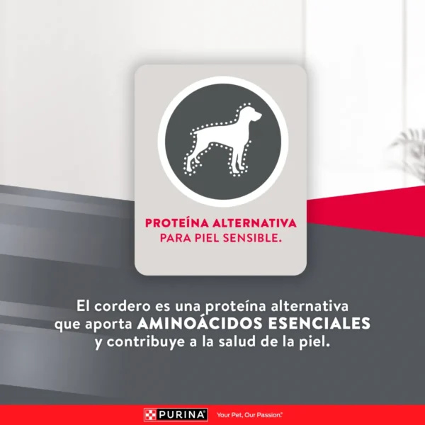 EXCELLENT SKIN CARE CON CORDERO PARA PERRO ADULTO - Imagen 5