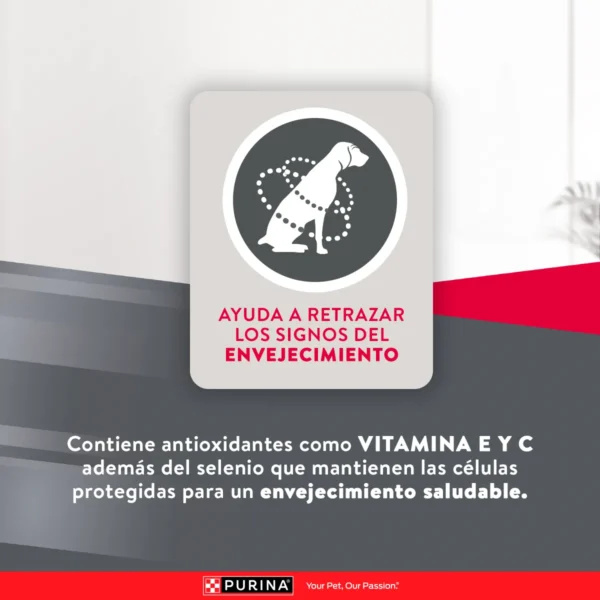 EXCELLENT PERRO ADULTO 7+ - Imagen 4