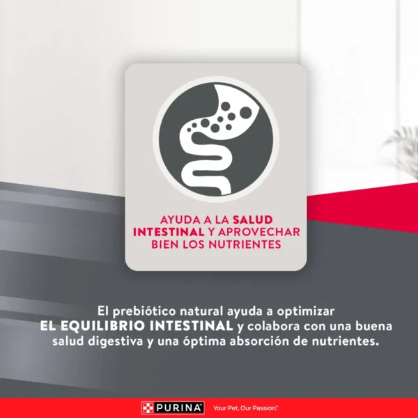 EXCELLENT PERRO ADULTO 7+ - Imagen 6