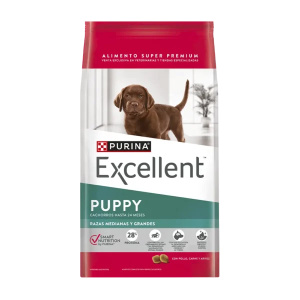 EXCELLENT PUPPY PERRO RAZA MEDIANA Y GRANDE