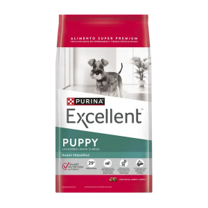 EXCELLENT PUPPY PERRO RAZA PEQUEÑA