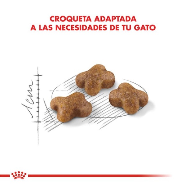 ROYAL CANIN KITTEN - Imagen 3