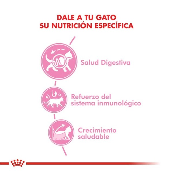 ROYAL CANIN KITTEN - Imagen 4