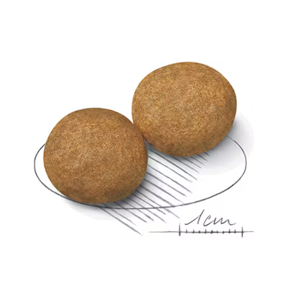 ROYAL CANIN MEDIUM ADULT - Imagen 2