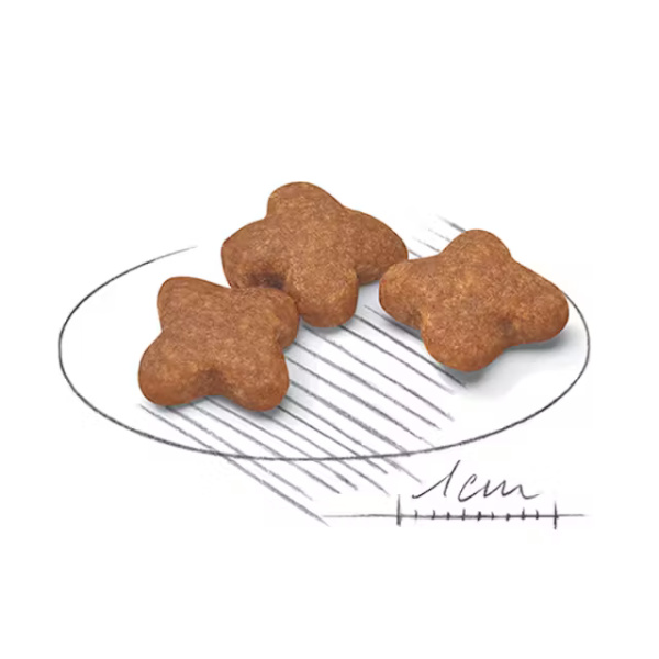 ROYAL CANIN MINI ADULT 8+ - Imagen 2