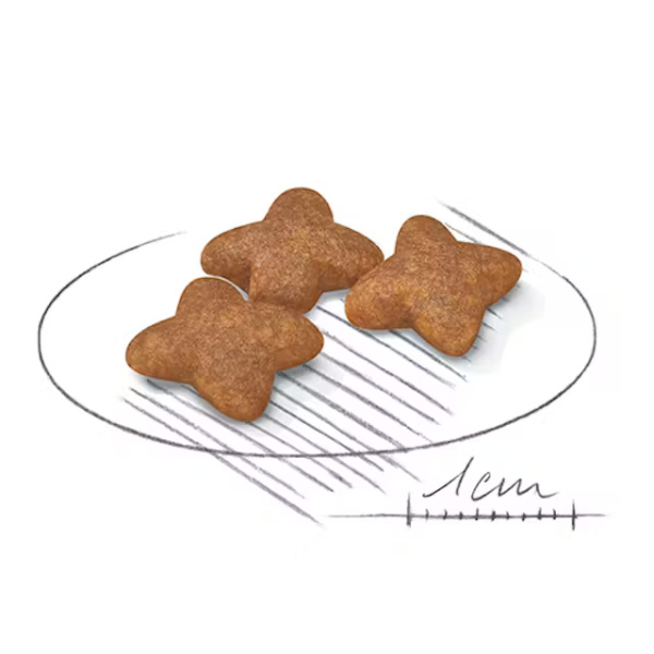 ROYAL CANIN MINI ADULT - Imagen 2