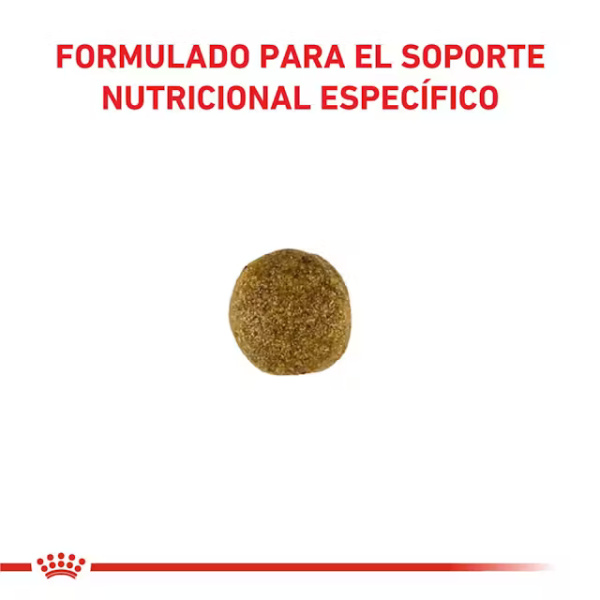 ROYAL CANIN GASTROINTESTINAL - Imagen 3