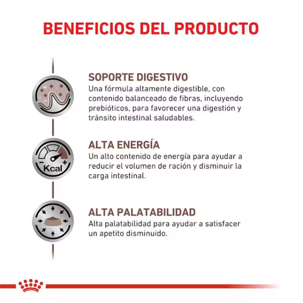 ROYAL CANIN GASTROINTESTINAL FELINE - Imagen 2