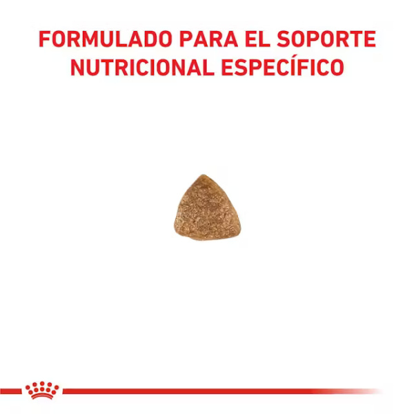 ROYAL CANIN GASTROINTESTINAL FELINE - Imagen 3