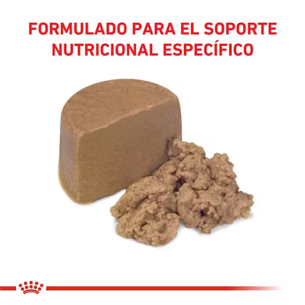 ROYAL CANIN RECOVERY - Imagen 3