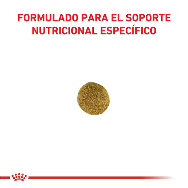 ROYAL CANIN SATIETY SUPPORT WEIGHT MANAGEMENT FELINE - Imagen 2