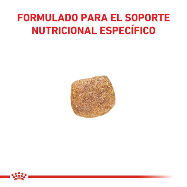 ROYAL CANIN URINARY S/O PERRO - Imagen 3