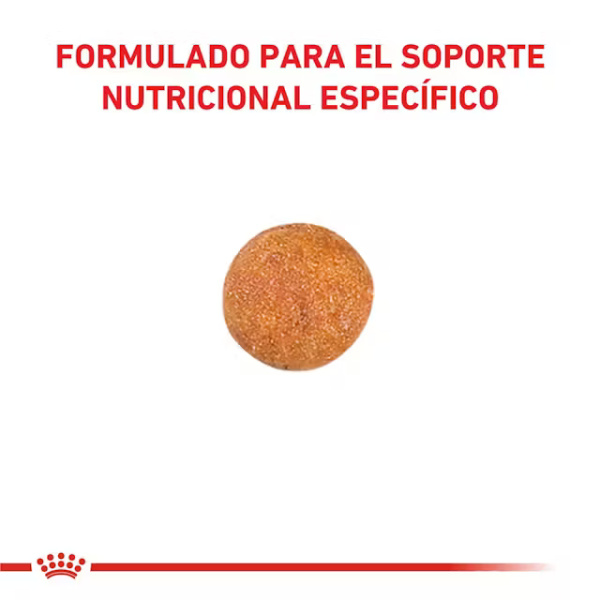 ROYAL CANIN URINARY S/O - Imagen 3