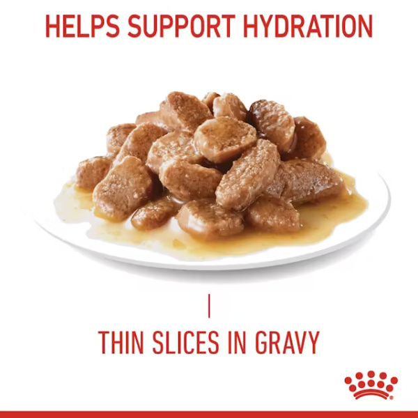 ROYAL CANIN URINARY CARE ALIMENTO HÚMEDO PARA GATO - Imagen 2