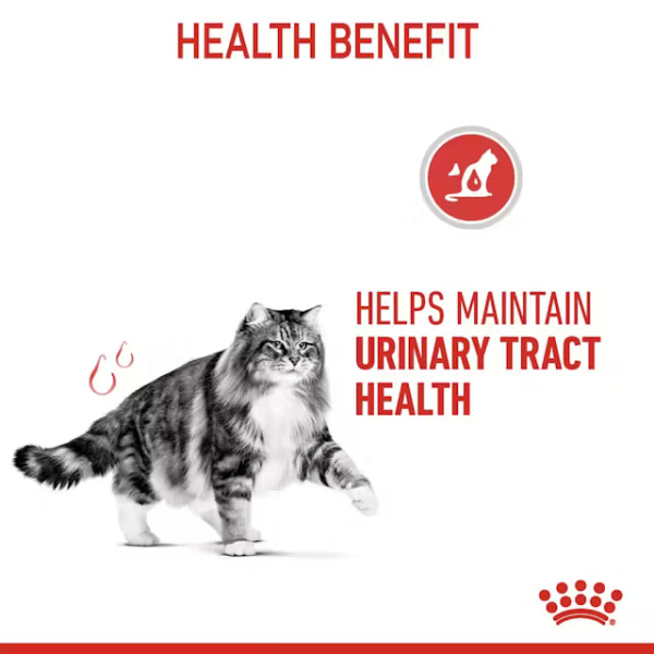 ROYAL CANIN URINARY CARE ALIMENTO HÚMEDO PARA GATO - Imagen 3