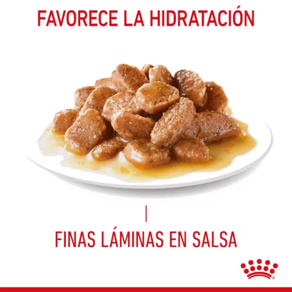 ROYAL CANIN HAIRBALL CARE - Imagen 3