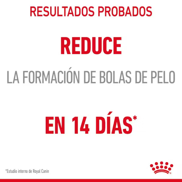 ROYAL CANIN HAIRBALL CARE - Imagen 4