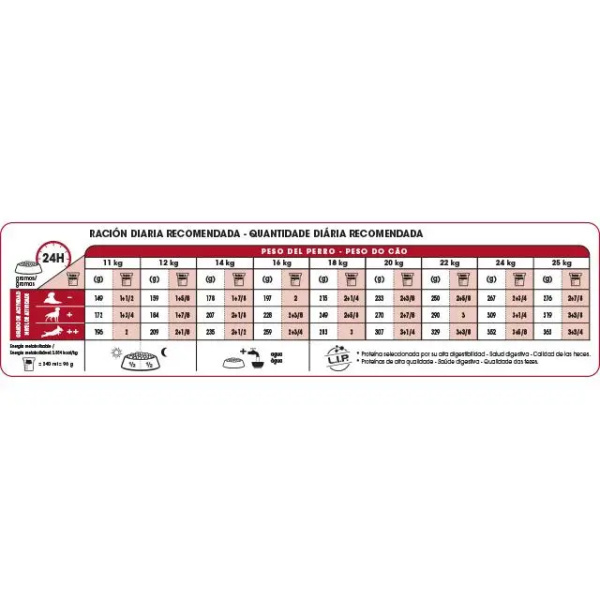 ROYAL CANIN MEDIUM ADULT 7+ - Imagen 3