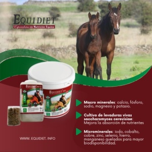 CVM EQUIDIET