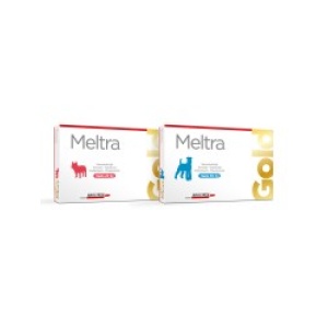 MELTRA GOLD